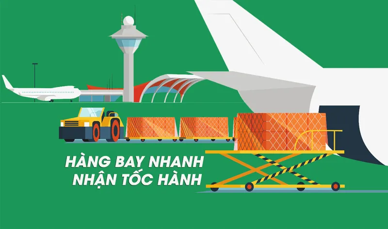 Sản phẩm dich vu chuyen phat nhanh chau au — Công Ty TNHH Phát Triển Sáng Tạo — MST 0315626778