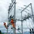 Sản phẩm duong day trung the 120x120 — Xây Lắp Điện Thiên Ân - Công Ty TNHH Xây Lắp Điện Thiên Ân — MST 0315632210