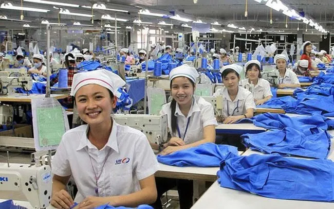 Sản phẩm det may — Công Ty TNHH Thiết Bị Tự Động Hóa Phúc Thịnh — MST 0315639294
