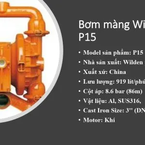 Sản phẩm Bom mang Wilden P15 300x300 — Công Ty TNHH Hanke — MST 0315664484