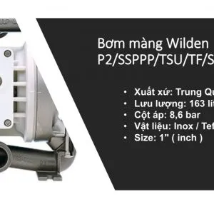 Sản phẩm bom mang Wilden P2 SSPPP TSU TF STF 0070 300x300 — Công Ty TNHH Hanke — MST 0315664484