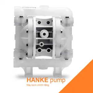 Sản phẩm may bom mang WILDEN P100 KKPPP TNU TF KTV 300x300 — Công Ty TNHH Hanke — MST 0315664484
