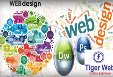 Sản phẩm thiet ke web 1885 — Công Ty TNHH Phát Triển Tây Nguyên — MST 0315673256