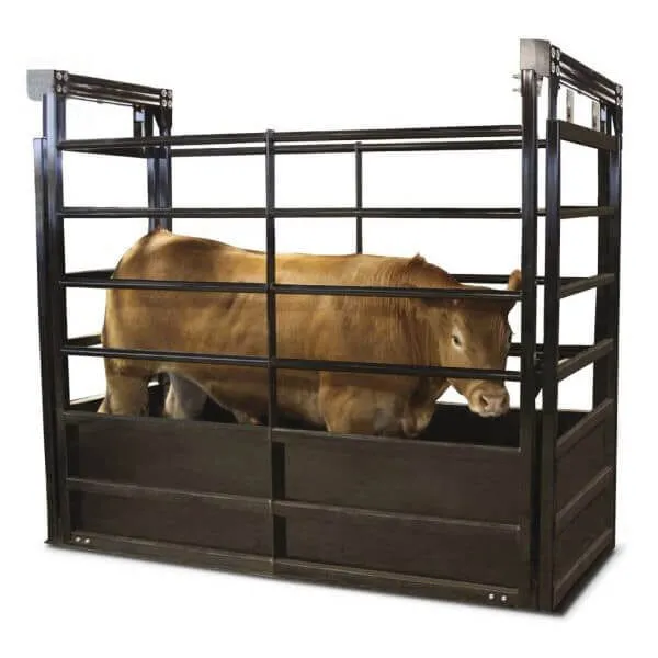 Sản phẩm can bo dien tu 1tan 600x600 — Công Ty TNHH Cân Điện Tử Đồng Thịnh — MST 0315674764
