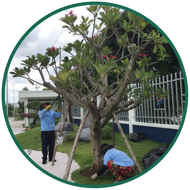 Sản phẩm 1 — Chi Nhánh Bình Dương - Công Ty TNHH Dịch Vụ VINAXANH — MST 0315675359
