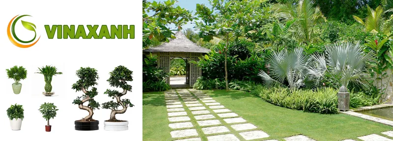 Sản phẩm LpCTx1564046304 — Chi Nhánh Bình Dương - Công Ty TNHH Dịch Vụ VINAXANH — MST 0315675359