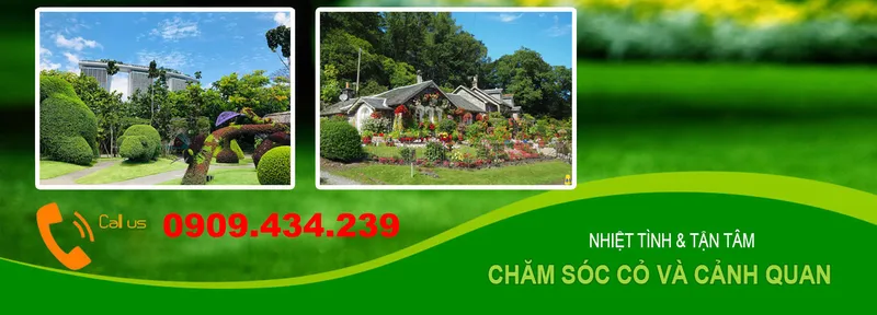 Sản phẩm MIG1D1565080716 — Chi Nhánh Bình Dương - Công Ty TNHH Dịch Vụ VINAXANH — MST 0315675359