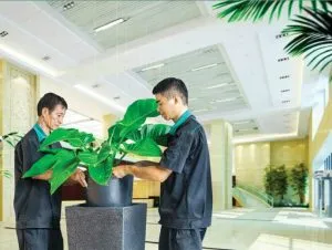 Sản phẩm cham soc canh quan dinh ky tai tphcm 300x226 — Chi Nhánh Bình Dương - Công Ty TNHH Dịch Vụ VINAXANH — MST 0315675359