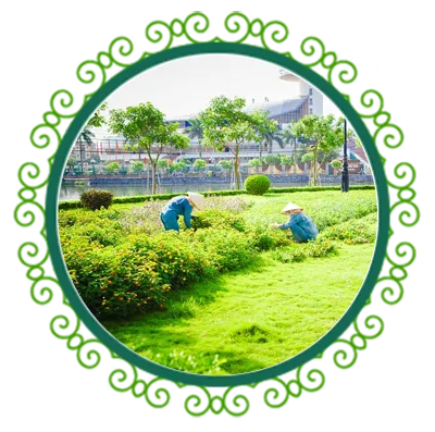 Sản phẩm cham soc msb — Chi Nhánh Bình Dương - Công Ty TNHH Dịch Vụ VINAXANH — MST 0315675359
