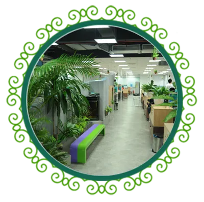 Sản phẩm cho thue cay xanh van phong bgd — Chi Nhánh Bình Dương - Công Ty TNHH Dịch Vụ VINAXANH — MST 0315675359