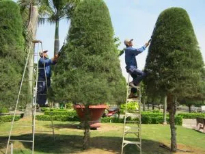 Sản phẩm don vi chuyen trong co cong trinh khu cong nghiep 1 300x225 — Chi Nhánh Bình Dương - Công Ty TNHH Dịch Vụ VINAXANH — MST 0315675359