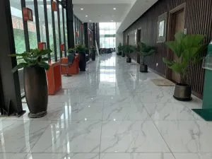 Sản phẩm cung cap cay xanh tai nha mau the western capital quan 6 300x225 — Chi Nhánh Bình Dương - Công Ty TNHH Dịch Vụ VINAXANH — MST 0315675359