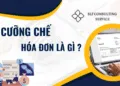 Sản phẩm THANH LAP HO KINH DOANH GIAO DUC 4 120x86 — Kế Toán Thuế SLF - Công Ty TNHH Thương Mại Dịch Vụ SLF — MST 0315682081