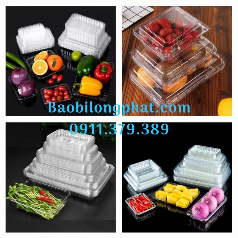 Sản phẩm KHAY NHUA_ 01 09 2022 13 44 59 — Bao Bì Long Phát - Công Ty TNHH Bao Bì Long Phát — MST 0315683462