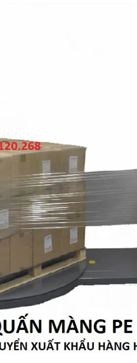 Sản phẩm may quan mang pallet1 9966 — Công Ty TNHH Propack Machine Việt Nam — MST 0315696380