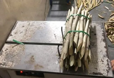 Sản phẩm may bo mia 6112 — Công Ty TNHH Propack Machine Việt Nam — MST 0315696380