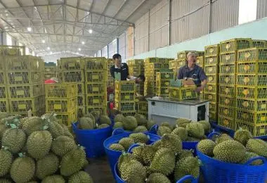 Sản phẩm z6182796875703bdf6942f070b130f7c5504ca9513e6fb 4522 — Công Ty TNHH Propack Machine Việt Nam — MST 0315696380