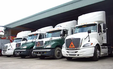 Sản phẩm duong bo noi dia — Công Ty TNHH Vận Tải Nhanh Việt Nam — MST 0315743538
