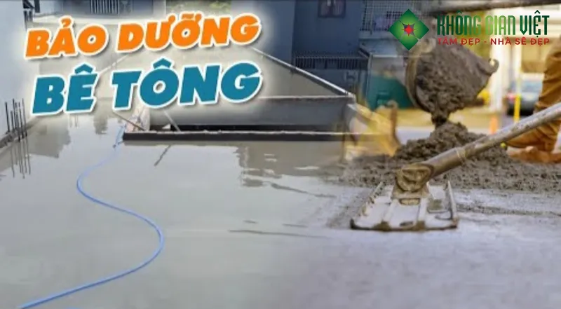 Sản phẩm bao duong be tong san 2025 8679 — Công Ty TNHH Thiết Kế Xây Dựng Chuyên Nghiệp — MST 0315747035