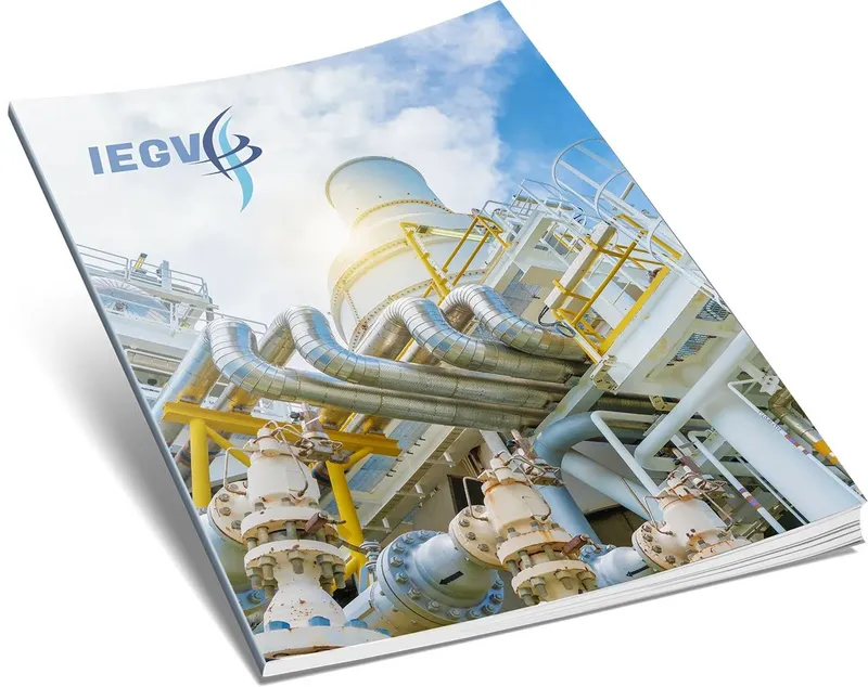 Sản phẩm catalog cover iegv brochure — Công Ty TNHH IEG Cryo & LPG — MST 0315747557