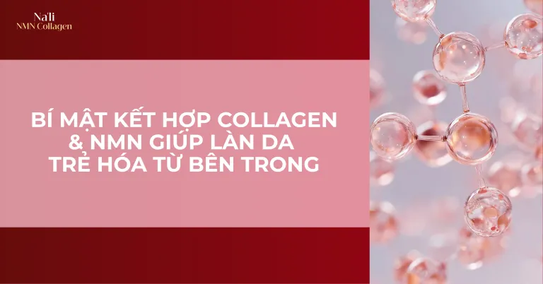 Sản phẩm MKT SEO COLLAGEN 2026 03 30T163530.946 768x402 — Công Ty Cổ Phần Tập Đoàn Yến Na — MST 0315747677