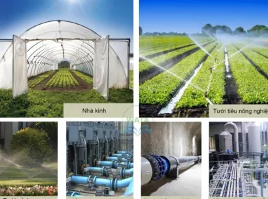 Sản phẩm top cac loai ong pe tuoi nuoc duoc ua chuong nhat hien nay 1745421873.png — ống Tưới Việt Drip - Công Ty TNHH Việt Drip — MST 0315751384