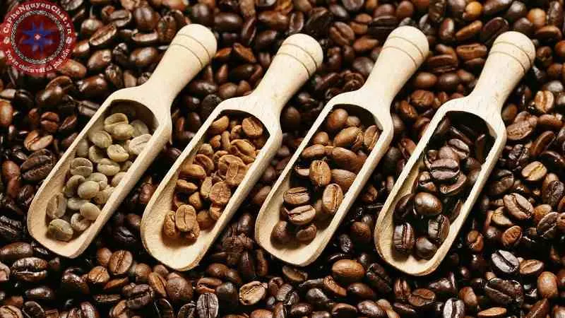 Sản phẩm dia diem cung cap ca phe rang xay gia re 2 — Nguyên Chất Coffee - Công Ty CP Cà Phê Nguyên Chất Tây Nguyên — MST 0315751539