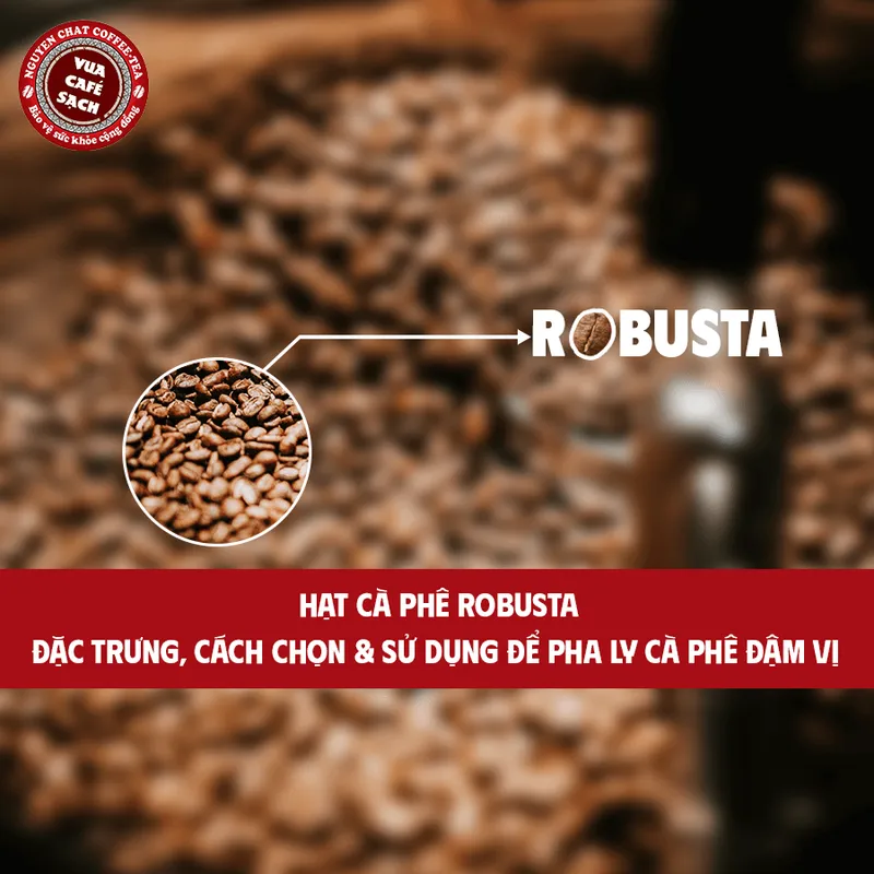 Sản phẩm Hat ca phe Robusta — Nguyên Chất Coffee - Công Ty CP Cà Phê Nguyên Chất Tây Nguyên — MST 0315751539