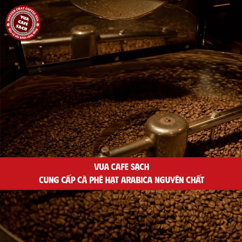 Sản phẩm Cung Cap Ca Phe Hat Arabica Nguyen Chat 1 — Nguyên Chất Coffee - Công Ty CP Cà Phê Nguyên Chất Tây Nguyên — MST 0315751539