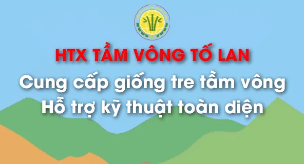 Sản phẩm giong tre tam vong — Công Ty CP Thương Mại Sản Xuất & Dịch Vụ Nông Nghiệp S-Green — MST 0315753857