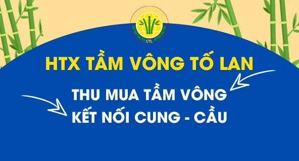 Sản phẩm thu mua tam vong — Công Ty CP Thương Mại Sản Xuất & Dịch Vụ Nông Nghiệp S-Green — MST 0315753857