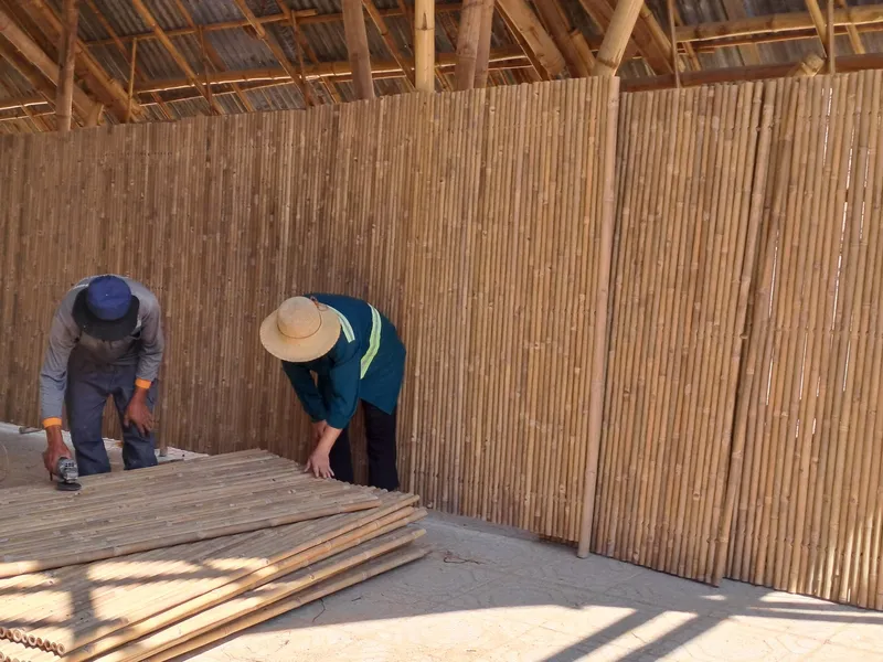 Sản phẩm 1000000197 — Công Ty CP Thương Mại Sản Xuất & Dịch Vụ Nông Nghiệp S-Green — MST 0315753857