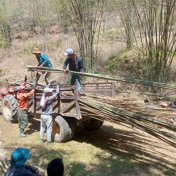 Sản phẩm z5711773355255_74e4031d5caf181fc128c8510f875166 1 — Công Ty CP Thương Mại Sản Xuất & Dịch Vụ Nông Nghiệp S-Green — MST 0315753857