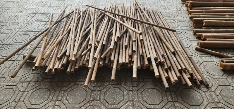 Sản phẩm z7320857297659_74b9fc1fb62d6c0aad6829dd253a63b6 — Công Ty CP Thương Mại Sản Xuất & Dịch Vụ Nông Nghiệp S-Green — MST 0315753857