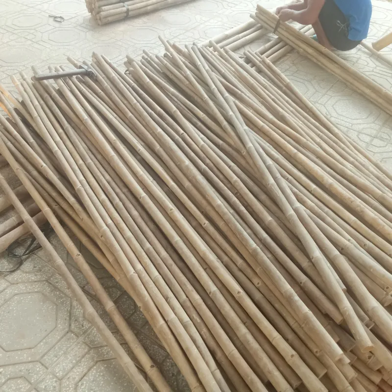 Sản phẩm z5711773365642_109e856fb6d1284eea75c172304a0637 — Công Ty CP Thương Mại Sản Xuất & Dịch Vụ Nông Nghiệp S-Green — MST 0315753857