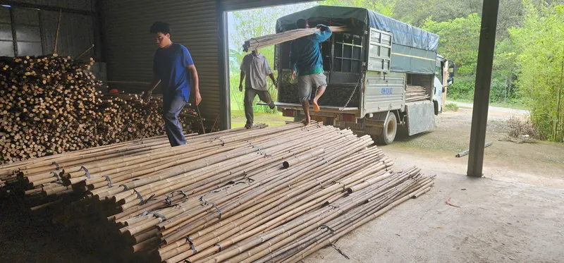Sản phẩm z7237295093186_77a6084b686eafdd7c3951e274ac1aeb — Công Ty CP Thương Mại Sản Xuất & Dịch Vụ Nông Nghiệp S-Green — MST 0315753857