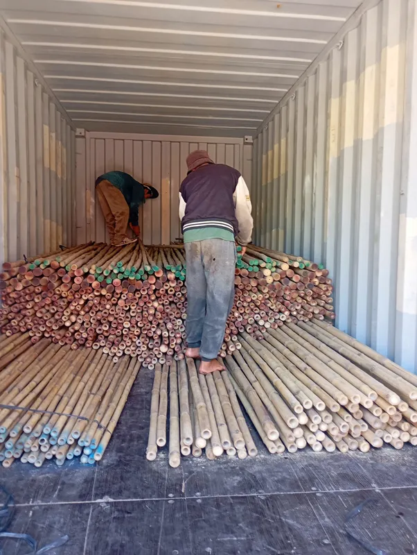 Sản phẩm 2aoboqxzuikqot10umwelspmzgeu6q5xwrteeynq35 — Công Ty CP Thương Mại Sản Xuất & Dịch Vụ Nông Nghiệp S-Green — MST 0315753857