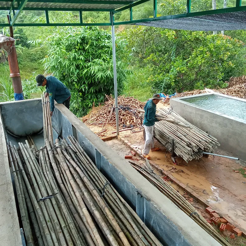 Sản phẩm 365617e6 571a 40fe 8f2d f71cfe13485a 1_all_3143 — Công Ty CP Thương Mại Sản Xuất & Dịch Vụ Nông Nghiệp S-Green — MST 0315753857