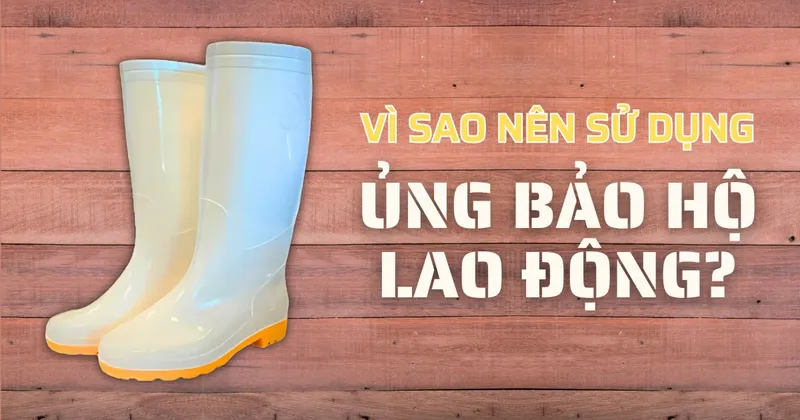 Sản phẩm vi sao nen su dung ung bao ho lao dong — Công Ty TNHH Sản Xuất Thương Mại Dịch Vụ Bảo Hộ Lao Động Vĩnh Thành — MST 0315762178
