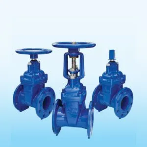 Sản phẩm van cong la van boc cao su shin yi rv rr nhap khau singapore 300x300 — Phụ Kiện Đường ống Nguyễn Trương - Công Ty TNHH Vật Tư Công Nghiệp Nguyễn Trương — MST 0315763164
