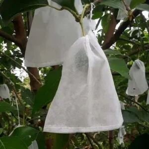 Sản phẩm tui vai boc buoi 05 300x300 — Công Ty TNHH Sản Xuất Thương Mại Và Phát Triển Sao Việt — MST 0315778308