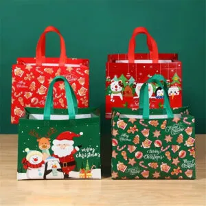 Sản phẩm tui vai noel giang sinh 01 300x300 — Công Ty TNHH Sản Xuất Thương Mại Và Phát Triển Sao Việt — MST 0315778308