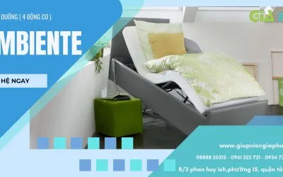 Sản phẩm ban giuong dieu duong ambiente cao cap gia phu 6232 — Công Ty TNHH Thương Mại Dịch Vụ Đầu Tư Phát Triển Gia Phú — MST 0315782784