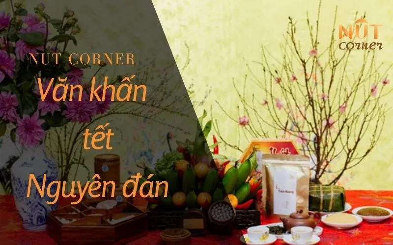 Sản phẩm van khan tet nguyen dan 1 — Nut Corner - Công Ty TNHH Vườn Hạt — MST 0315784541