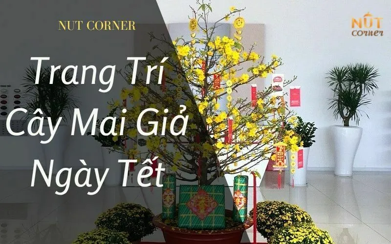 Sản phẩm trang tri mai gia ngay tet — Nut Corner - Công Ty TNHH Vườn Hạt — MST 0315784541