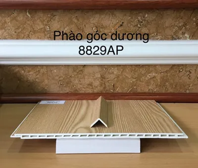 Sản phẩm phaogocduong8829ap 4258 — Công Ty TNHH Thương Mại Dịch Vụ - Xây Dựng TOT — MST 0315787133