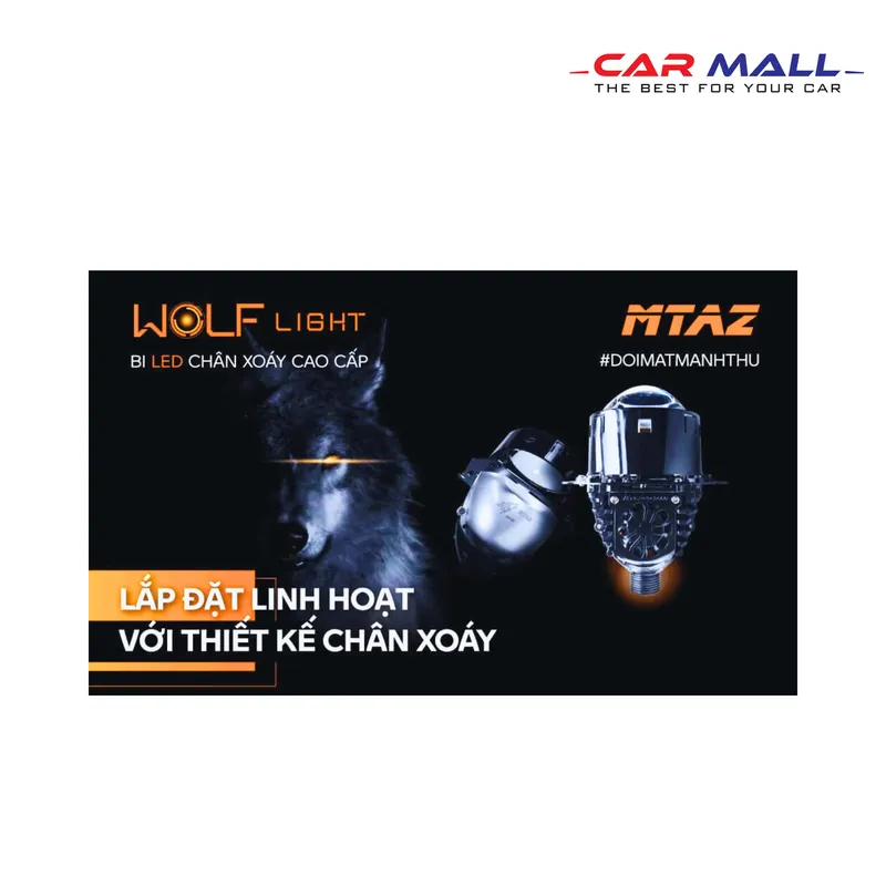 Sản phẩm Thiet ke chua co ten 2024 11 25T095102.985 — Công Ty Cổ Phần Thương Mại CARMALL Việt Nam — MST 0315804406