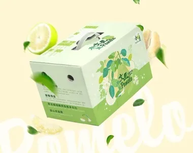Sản phẩm dich vu thiet ke bao bi gia re tai quan binh duong02123 — Thiết Kế In Ấn Lộc Phát - Công Ty TNHH Thiết Kế In Ấn Lộc Phát — MST 0315805336