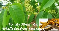 Sản phẩm vo cay hoan ba phellodendron amurense 1 4297 — Hóa Mỹ Phẩm LIUSHEN - Công Ty TNHH Thương Mại Xuất Nhập Khẩu Liushen — MST 0315806467