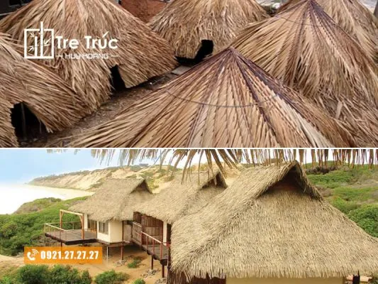 Sản phẩm so sanh la dua nuoc lop nha tu nhien va la dua nhan tao 533x400 — Công Ty TNHH Dịch Vụ Phát Triển Huy Hoàng — MST 0315820359